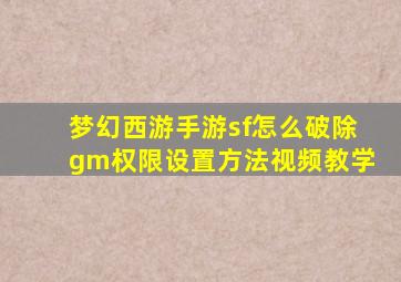 梦幻西游手游sf怎么破除gm权限设置方法视频教学