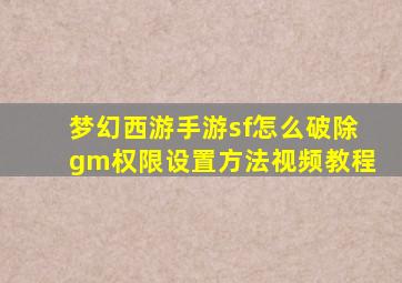 梦幻西游手游sf怎么破除gm权限设置方法视频教程