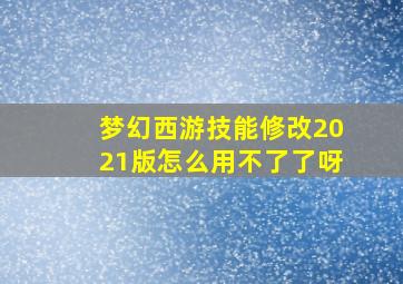 梦幻西游技能修改2021版怎么用不了了呀