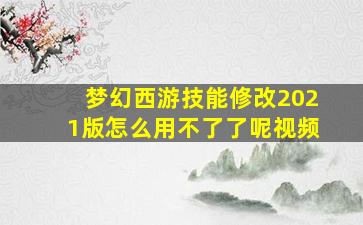 梦幻西游技能修改2021版怎么用不了了呢视频