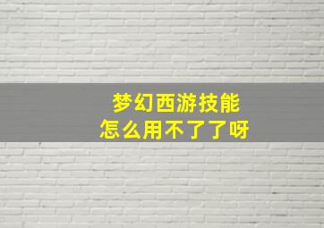 梦幻西游技能怎么用不了了呀