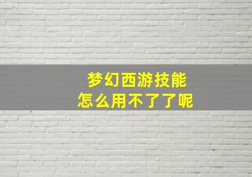 梦幻西游技能怎么用不了了呢