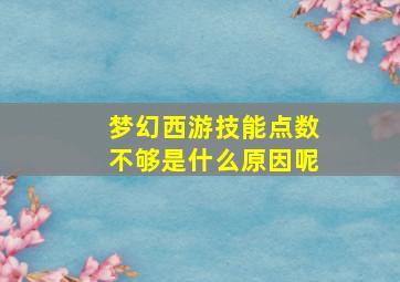 梦幻西游技能点数不够是什么原因呢