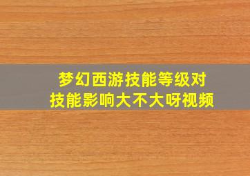 梦幻西游技能等级对技能影响大不大呀视频