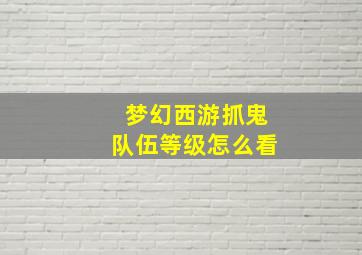 梦幻西游抓鬼队伍等级怎么看