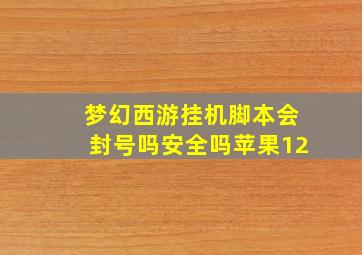 梦幻西游挂机脚本会封号吗安全吗苹果12