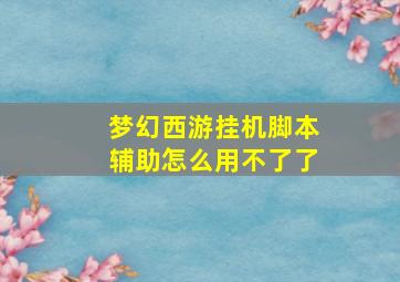 梦幻西游挂机脚本辅助怎么用不了了