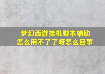 梦幻西游挂机脚本辅助怎么用不了了呀怎么回事