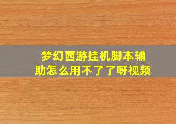 梦幻西游挂机脚本辅助怎么用不了了呀视频