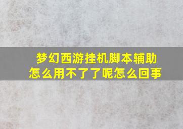 梦幻西游挂机脚本辅助怎么用不了了呢怎么回事