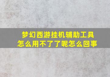 梦幻西游挂机辅助工具怎么用不了了呢怎么回事