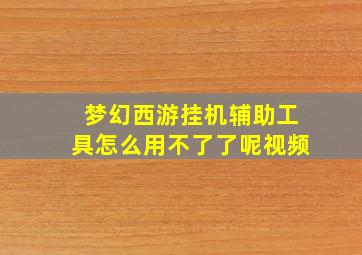 梦幻西游挂机辅助工具怎么用不了了呢视频