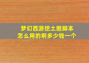 梦幻西游挖土图脚本怎么用的啊多少钱一个