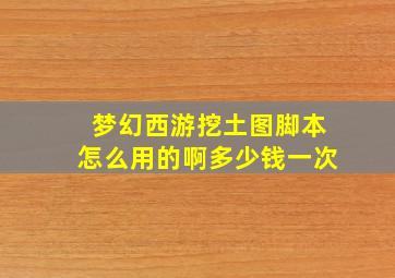 梦幻西游挖土图脚本怎么用的啊多少钱一次