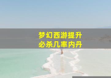 梦幻西游提升必杀几率内丹