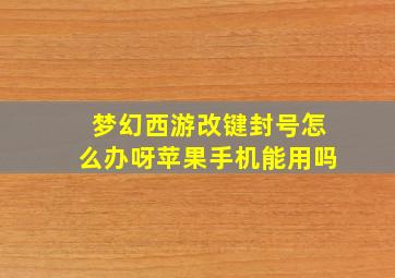 梦幻西游改键封号怎么办呀苹果手机能用吗