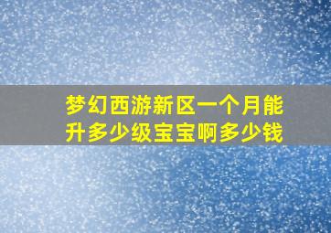 梦幻西游新区一个月能升多少级宝宝啊多少钱