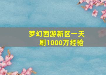 梦幻西游新区一天刷1000万经验