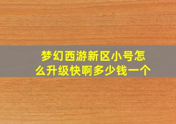 梦幻西游新区小号怎么升级快啊多少钱一个