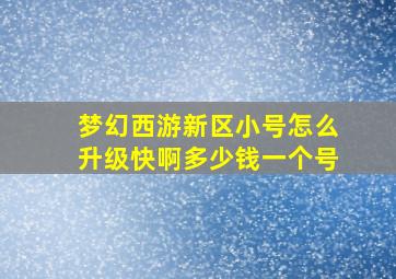 梦幻西游新区小号怎么升级快啊多少钱一个号