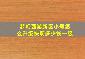 梦幻西游新区小号怎么升级快啊多少钱一级