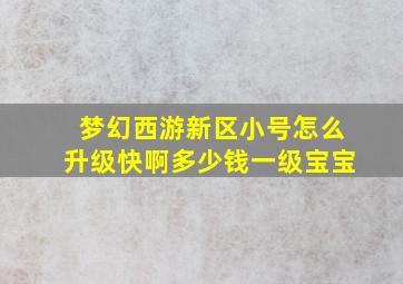 梦幻西游新区小号怎么升级快啊多少钱一级宝宝