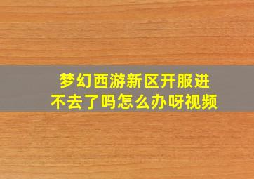 梦幻西游新区开服进不去了吗怎么办呀视频