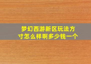 梦幻西游新区玩法方寸怎么样啊多少钱一个