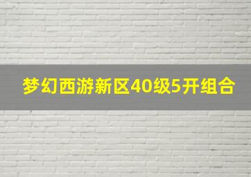 梦幻西游新区40级5开组合