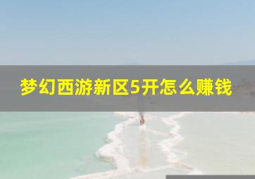 梦幻西游新区5开怎么赚钱