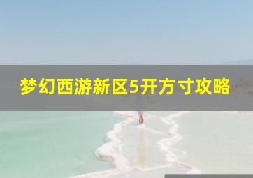 梦幻西游新区5开方寸攻略