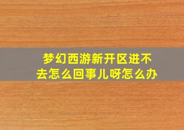 梦幻西游新开区进不去怎么回事儿呀怎么办