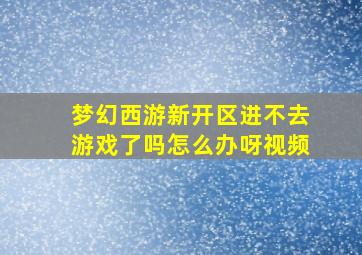 梦幻西游新开区进不去游戏了吗怎么办呀视频