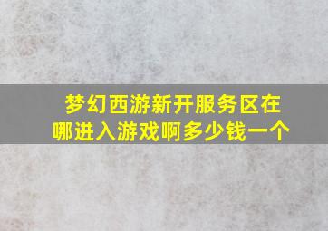 梦幻西游新开服务区在哪进入游戏啊多少钱一个