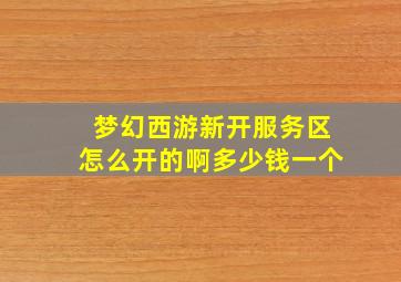 梦幻西游新开服务区怎么开的啊多少钱一个