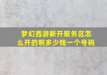 梦幻西游新开服务区怎么开的啊多少钱一个号码