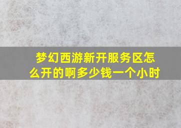 梦幻西游新开服务区怎么开的啊多少钱一个小时