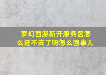 梦幻西游新开服务区怎么进不去了呀怎么回事儿