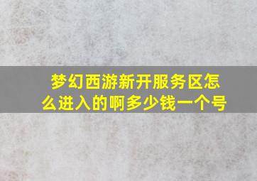 梦幻西游新开服务区怎么进入的啊多少钱一个号