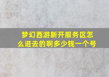 梦幻西游新开服务区怎么进去的啊多少钱一个号