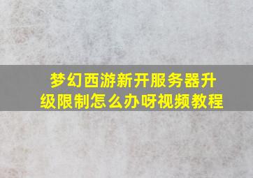 梦幻西游新开服务器升级限制怎么办呀视频教程