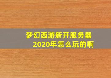 梦幻西游新开服务器2020年怎么玩的啊