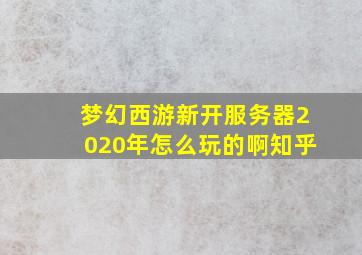 梦幻西游新开服务器2020年怎么玩的啊知乎