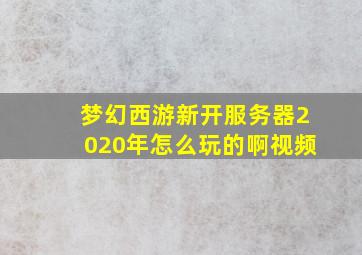 梦幻西游新开服务器2020年怎么玩的啊视频