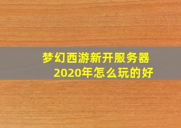 梦幻西游新开服务器2020年怎么玩的好