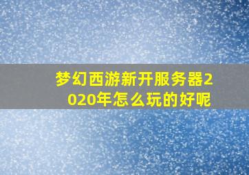 梦幻西游新开服务器2020年怎么玩的好呢