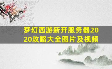 梦幻西游新开服务器2020攻略大全图片及视频