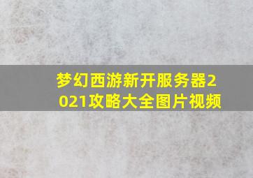 梦幻西游新开服务器2021攻略大全图片视频