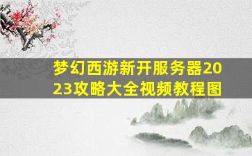 梦幻西游新开服务器2023攻略大全视频教程图