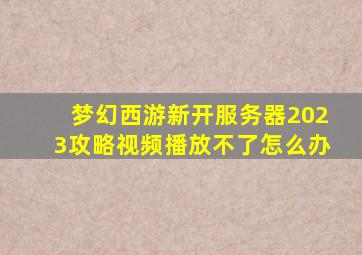 梦幻西游新开服务器2023攻略视频播放不了怎么办